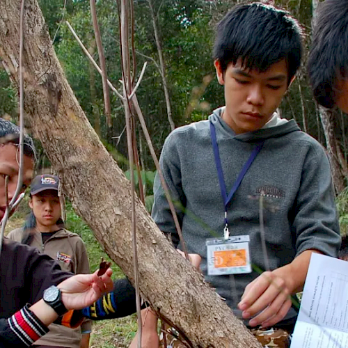 ITTP And IUFRO Release Learning Modules To Encourage Forest Landscape Restoration