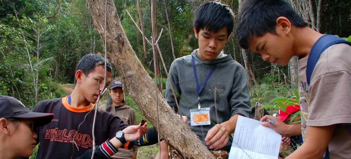 ITTP And IUFRO Release Learning Modules To Encourage Forest Landscape Restoration