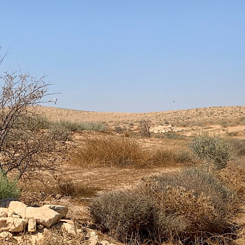 Improving water security in Jordan through restoration activities
