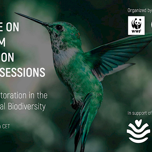 UN Decade Learning Sessions: Ecosystem Restoration in the Post-2020 Global Biodiversity Framework