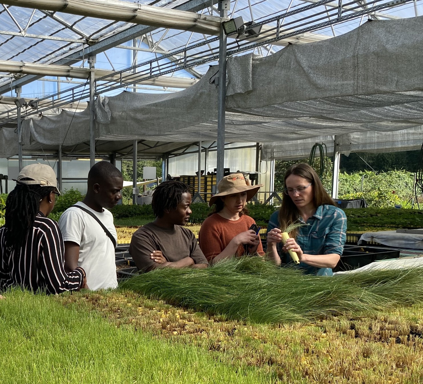 Shared Learning, Shared Passion: United States Forest Service hosts Zimbabwean partner My Trees Trust for reforestation study tour