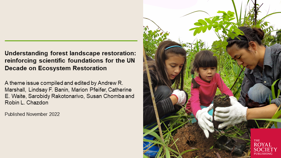 Understanding forest landscape restoration: reinforcing scientific foundations for the UN Decade on Ecosystem Restoration