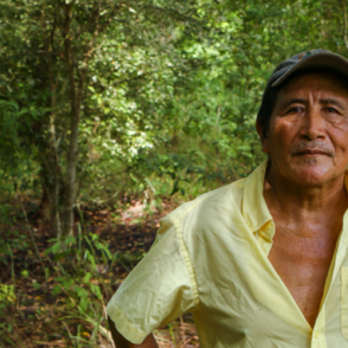 Felipe Marin and the reforestation of a land with Mahogany and cedar