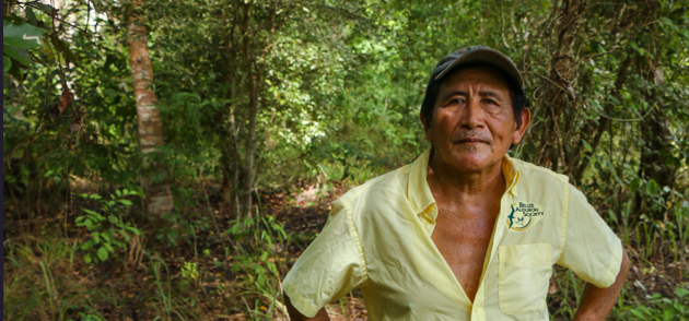 Felipe Marin and the reforestation of a land with Mahogany and cedar