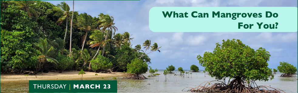 Webinar: What Can Mangroves do For You?