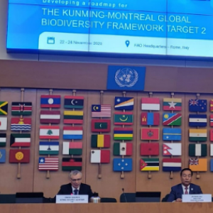 GPFLR’s members contribute to the ecosystem restoration roadmap of the Kunming-Montreal Global Biodiversity Framework Target 2