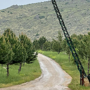 Restoring Lebanon's forests