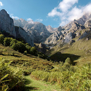 Key challenges holding back large-scale restoration in Europe
