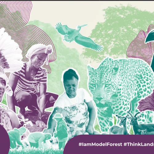 Event: Forests, People, Planet: Scaling Local Solutions for Global Impact