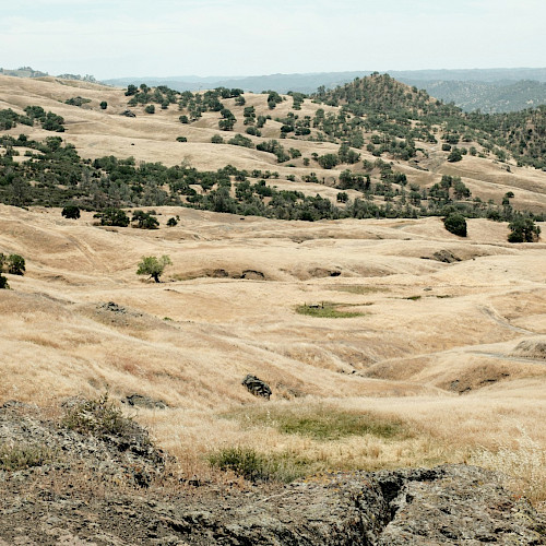 Overcoming barriers and leveraging opportunities to scale up landscape-scale restoration in Europe