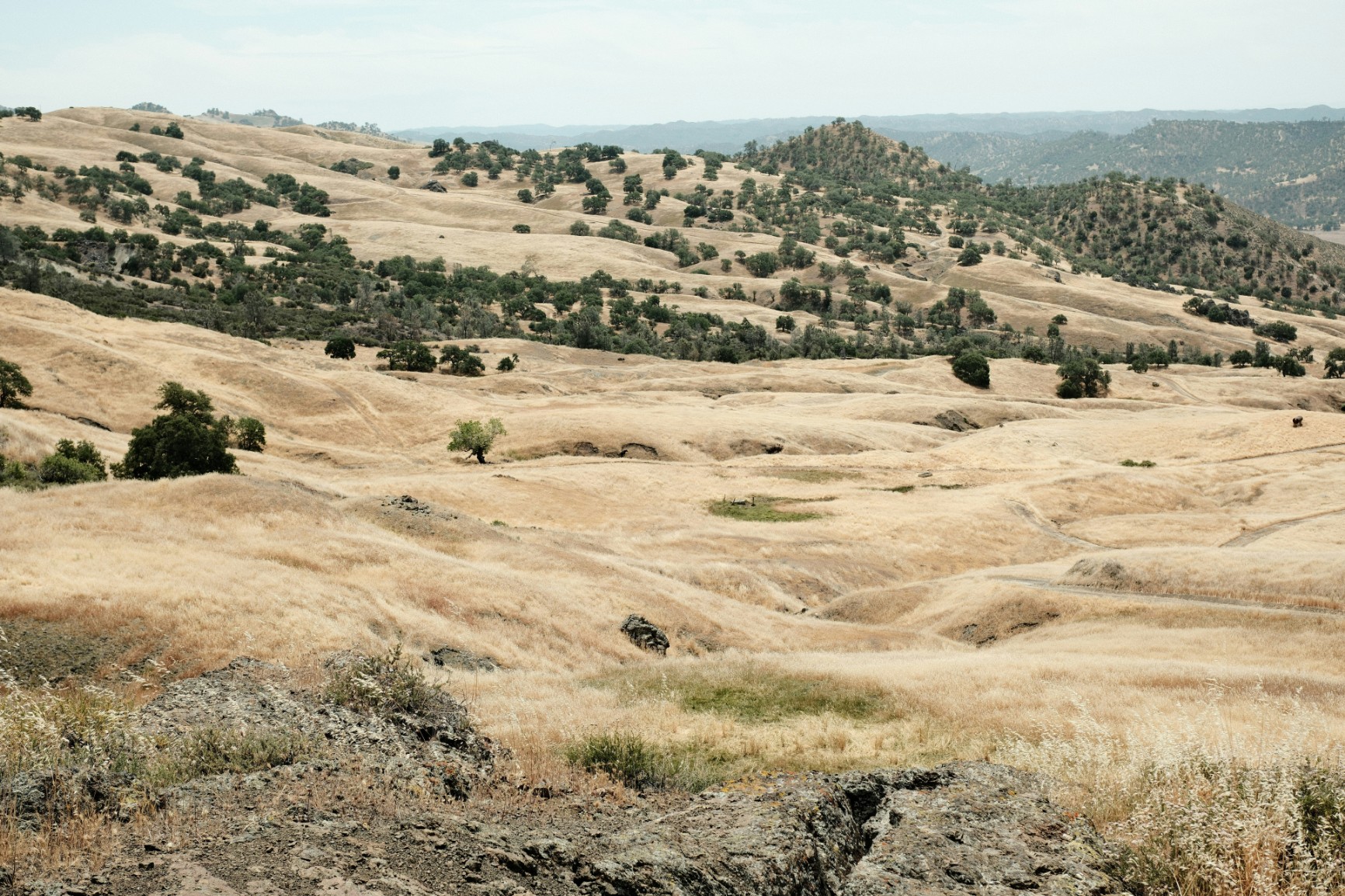 Overcoming barriers and leveraging opportunities to scale up landscape-scale restoration in Europe