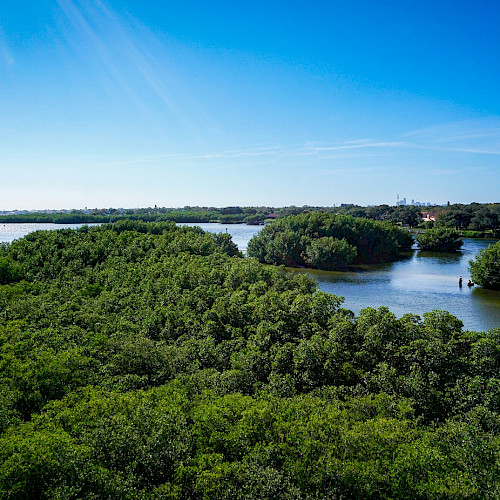 Diverse perspectives: what we learned through convening for restoration