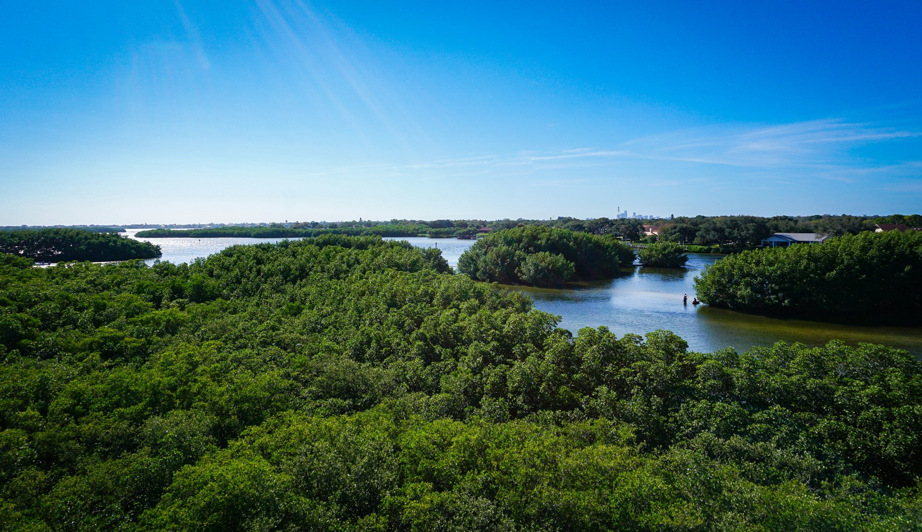 Diverse perspectives: what we learned through convening for restoration