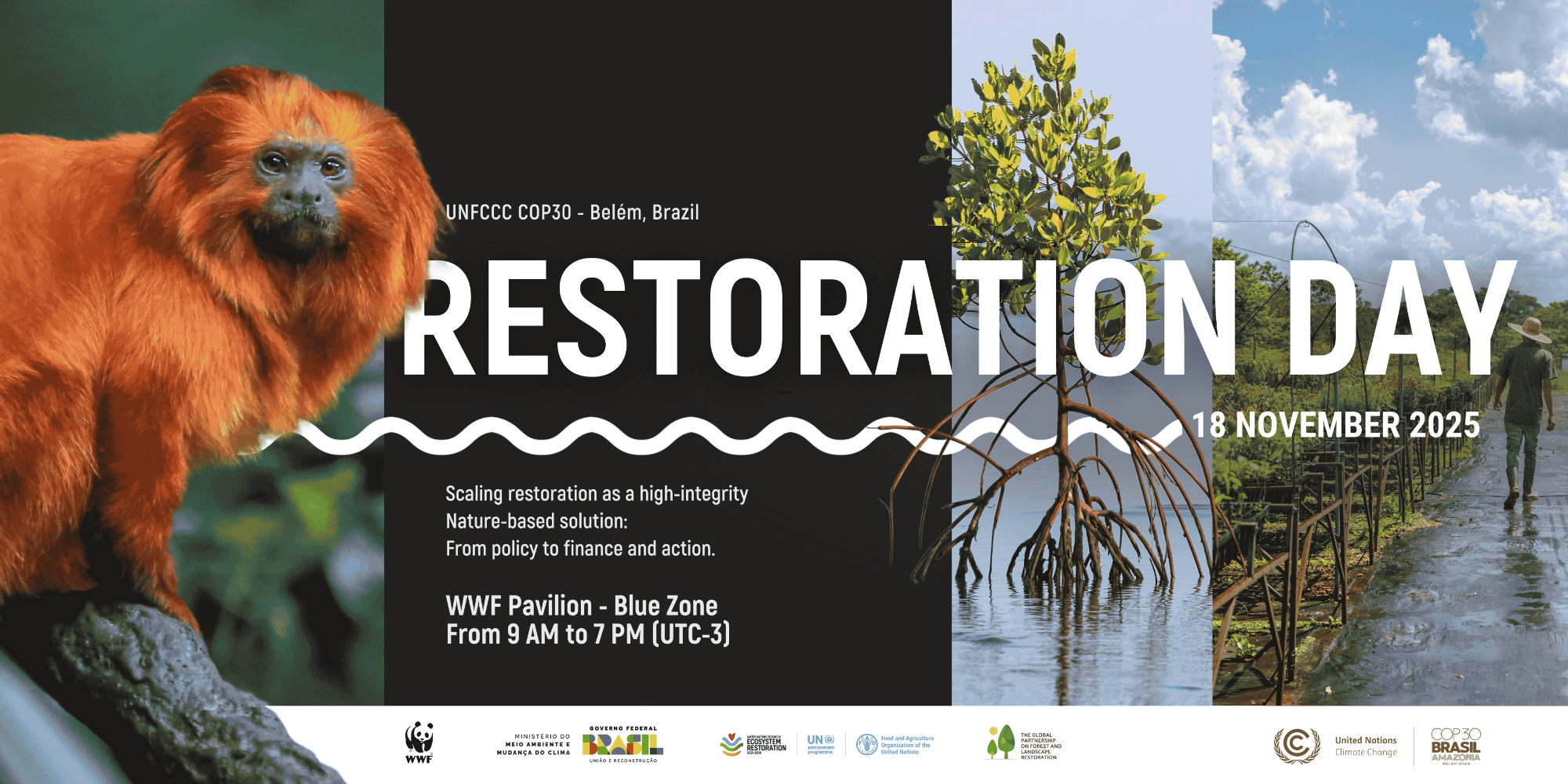 Restoration Day at COP 30