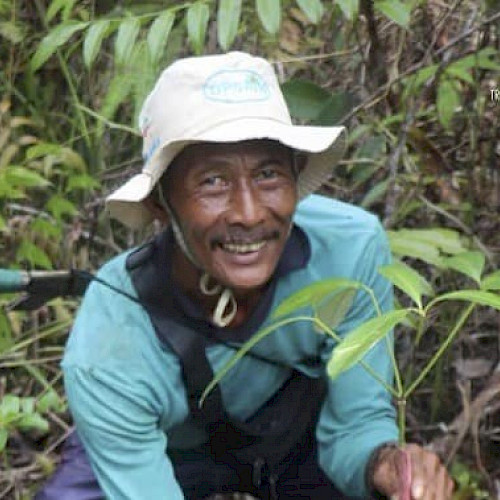 Restoring Tropical Forests — Lessons in participatory productive restoration from six countries