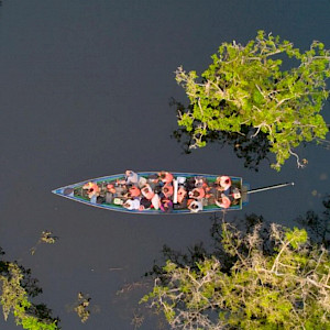 From the heart of the Amazon