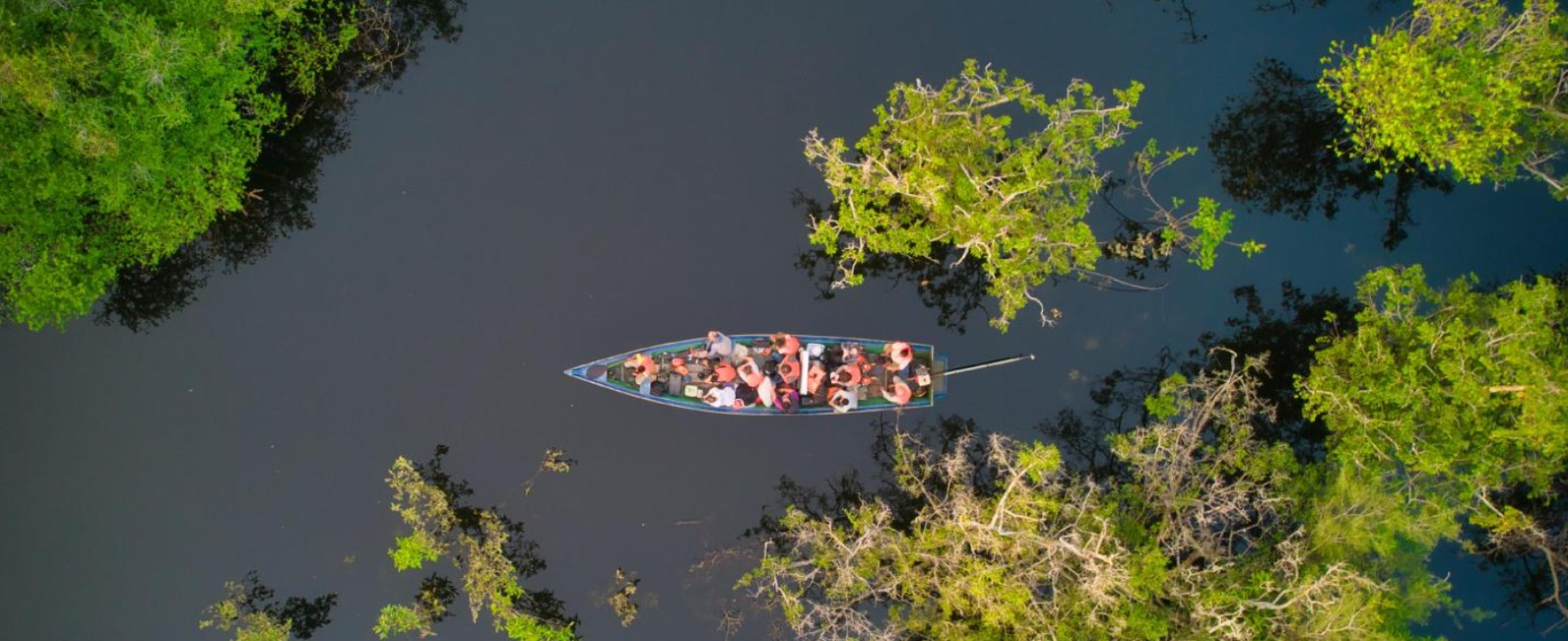 From the heart of the Amazon
